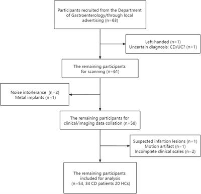 Neurophysiological Effects of the Anterior Cingulate Cortex on the Exacerbation of Crohn’s Disease: A Combined fMRI-MRS Study